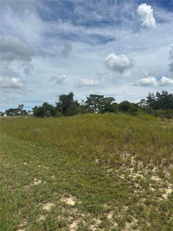 1348 Homosassa Court - Photo 1