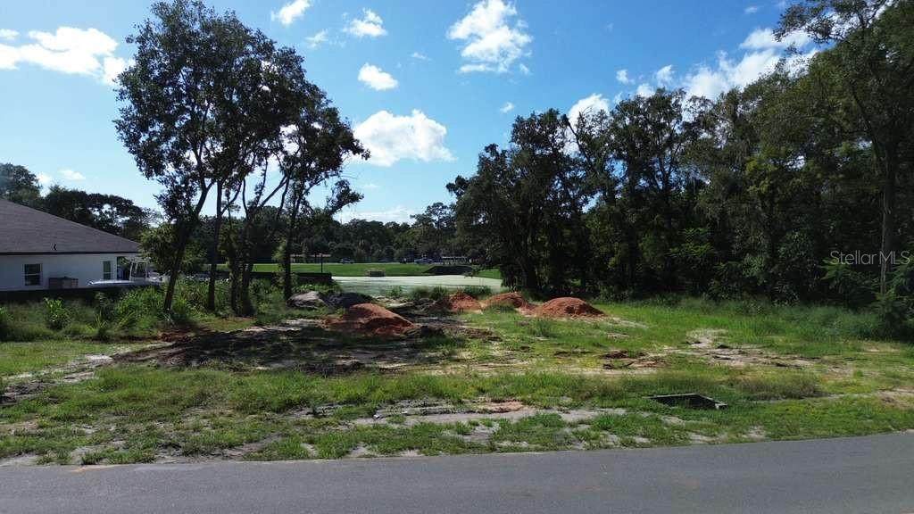 4002 White Heron Drive - Photo 1