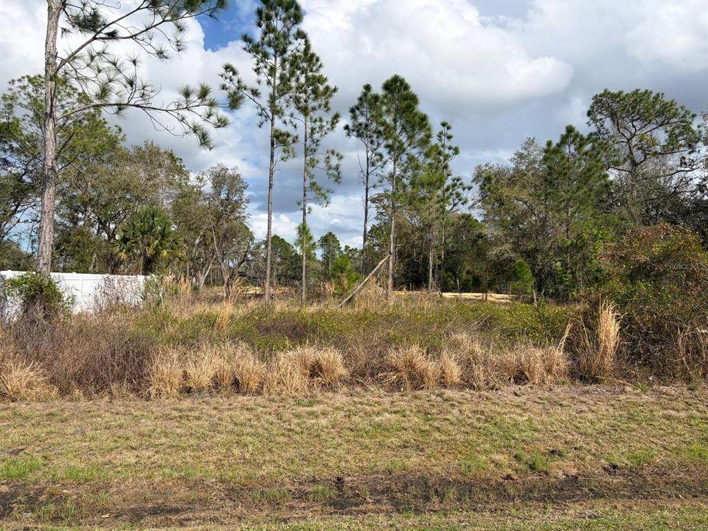 202 Spoonbill Drive - Photo 1