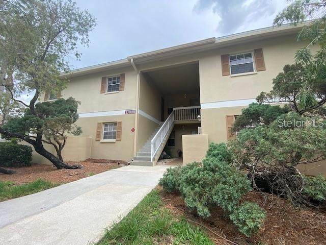 1656 Sunny Brook Lane - Photo 1