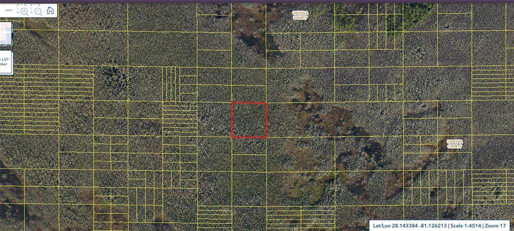  Holopaw Groves Road - Photo 1