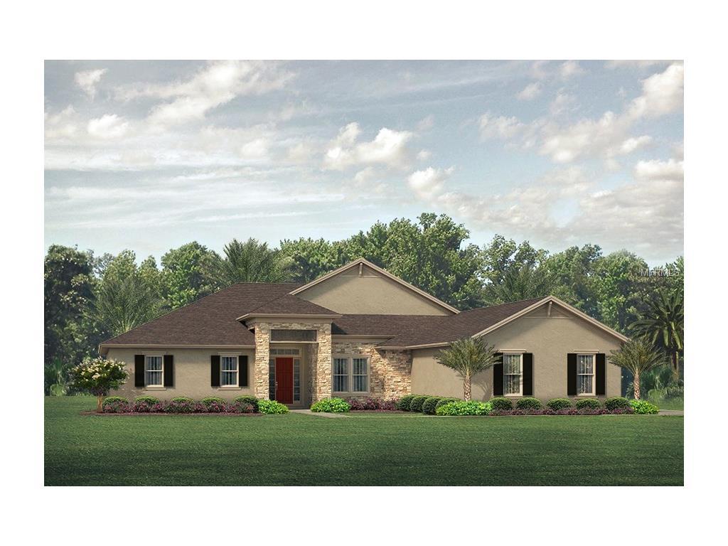 7703 Kenia Meadows Lane - Photo 1