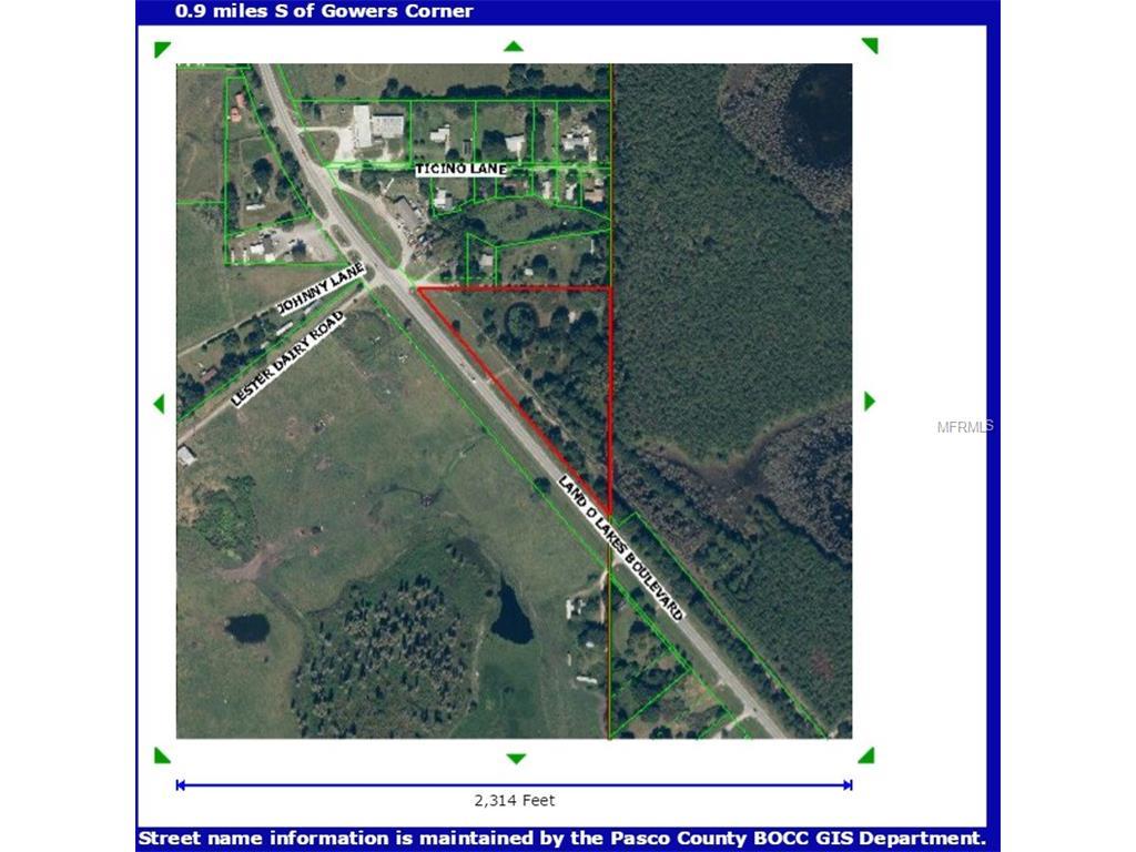 10420 Land O Lakes Boulevard - Photo 1