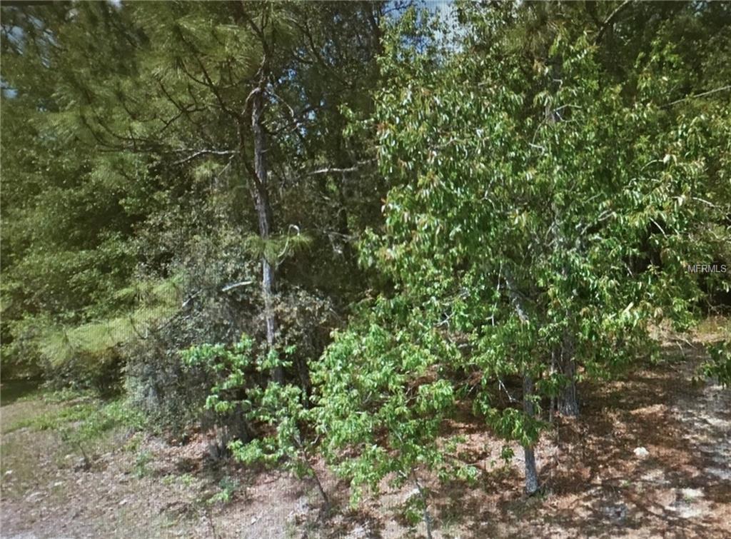 Tall Pines Drive - Photo 1