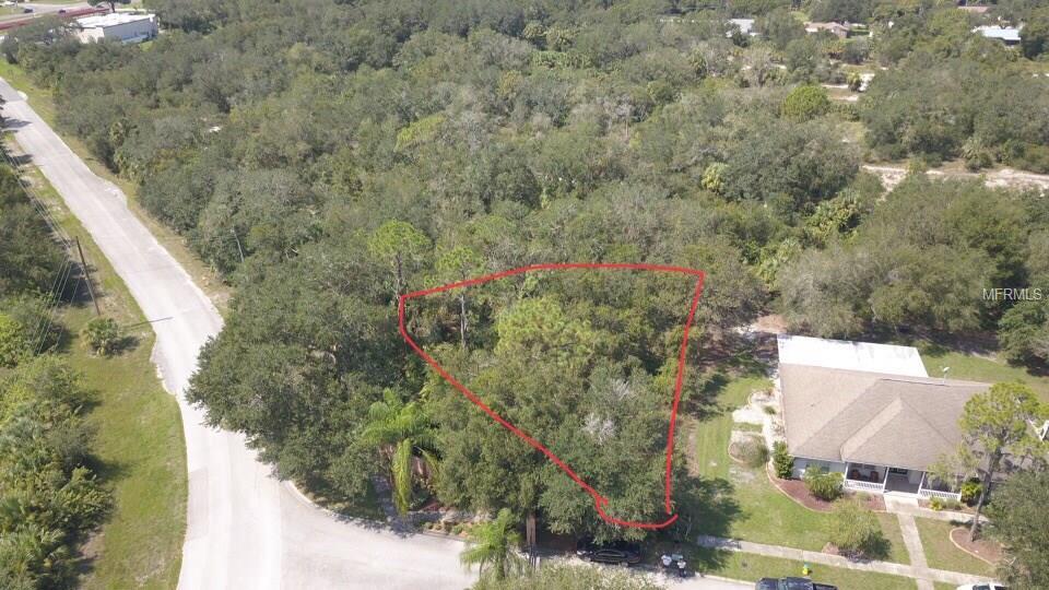 9919 Alafia River Lane - Photo 1