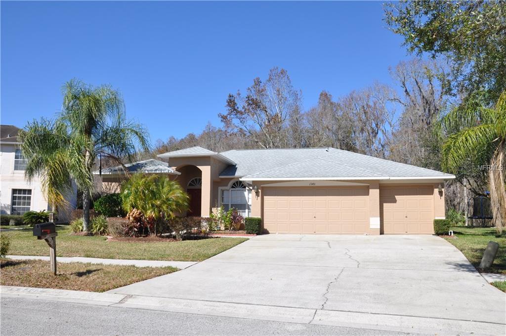 1343 Caladesi Drive - Photo 1