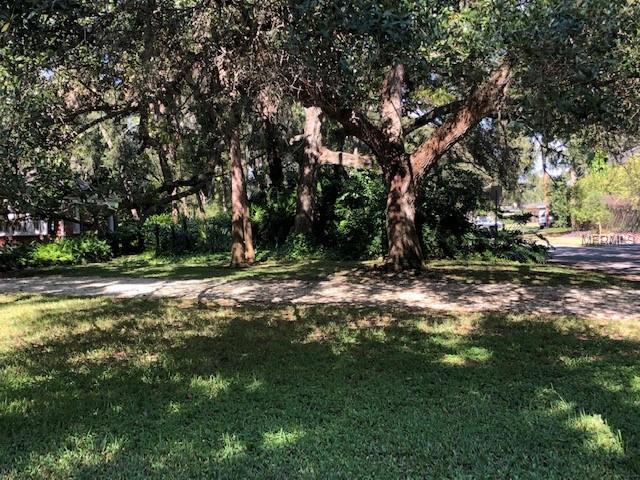 4401 Azeele Street - Photo 1
