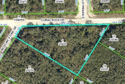 33380 Coral Rock Drive - Photo 1