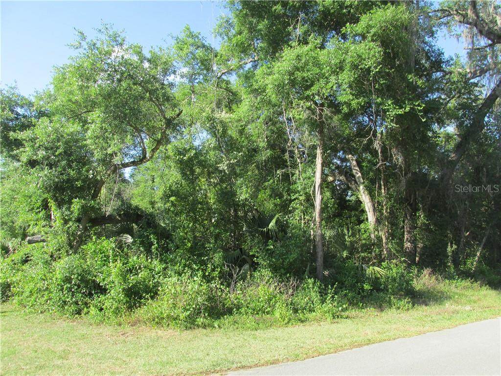 4744 Rainbow Drive - Photo 1