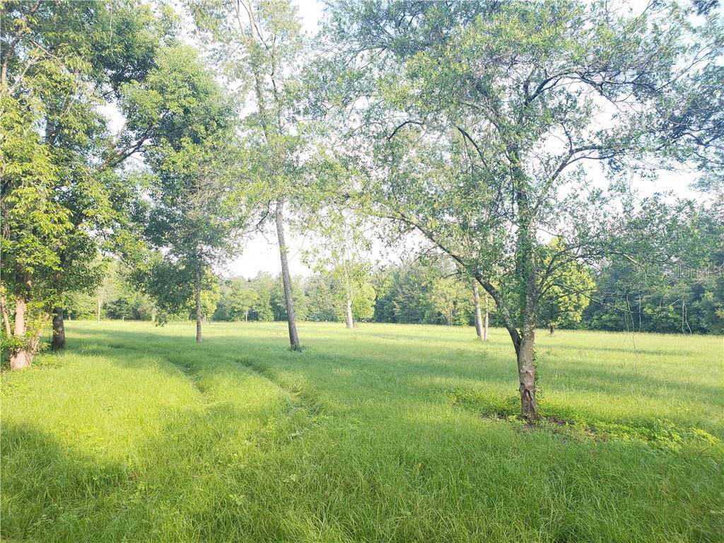 38138 Centennial Road - Photo 1