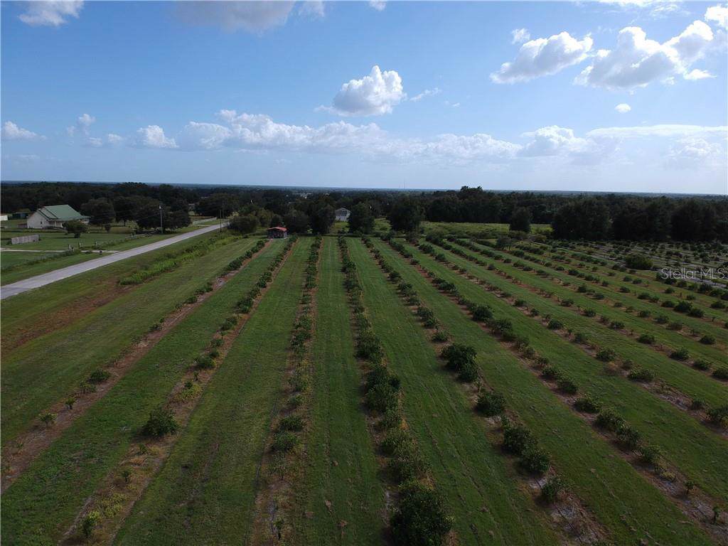 7947 Artifact Drive - Photo 1