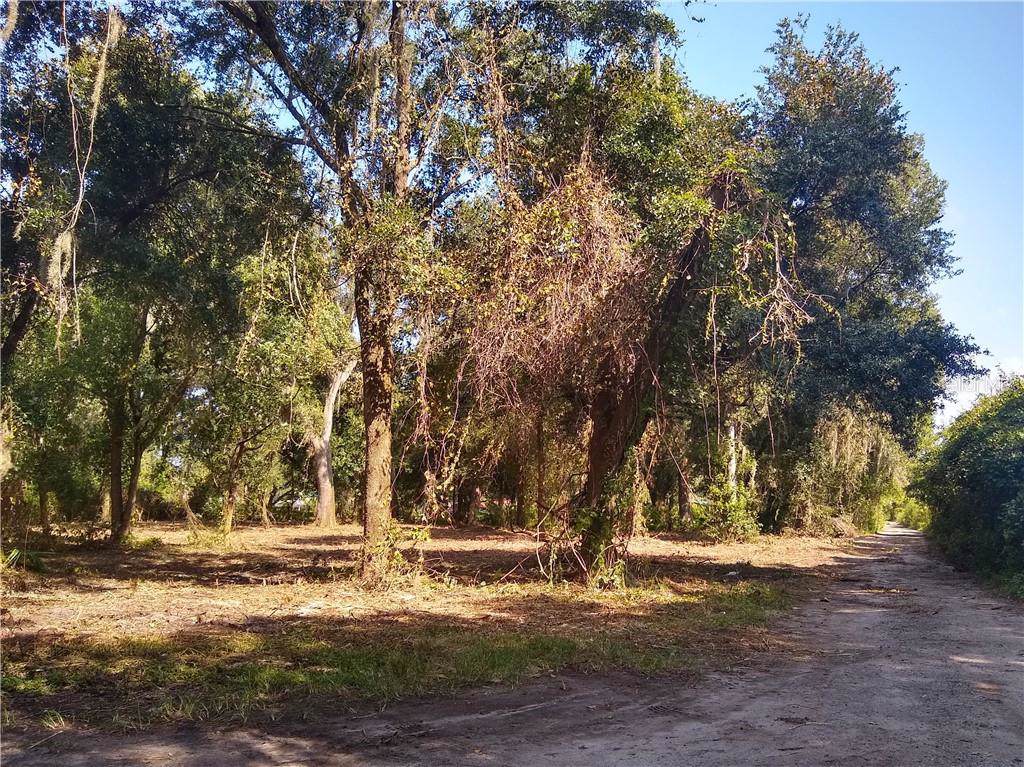 0 Knights Griffin Road - Photo 1