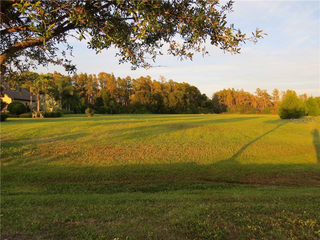 17305 Ballmont Park Drive - Photo 1