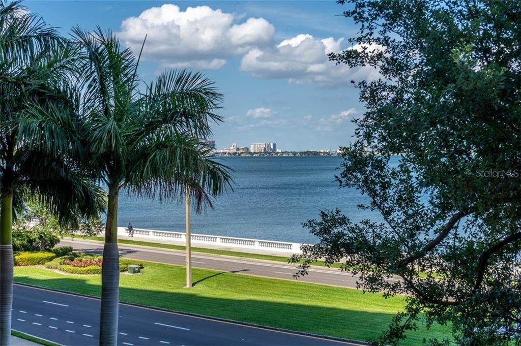 3301 Bayshore Boulevard - Photo 1