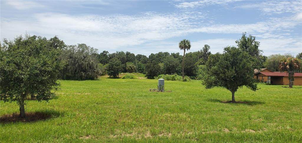 15315 Fishhawk Heights Run - Photo 1