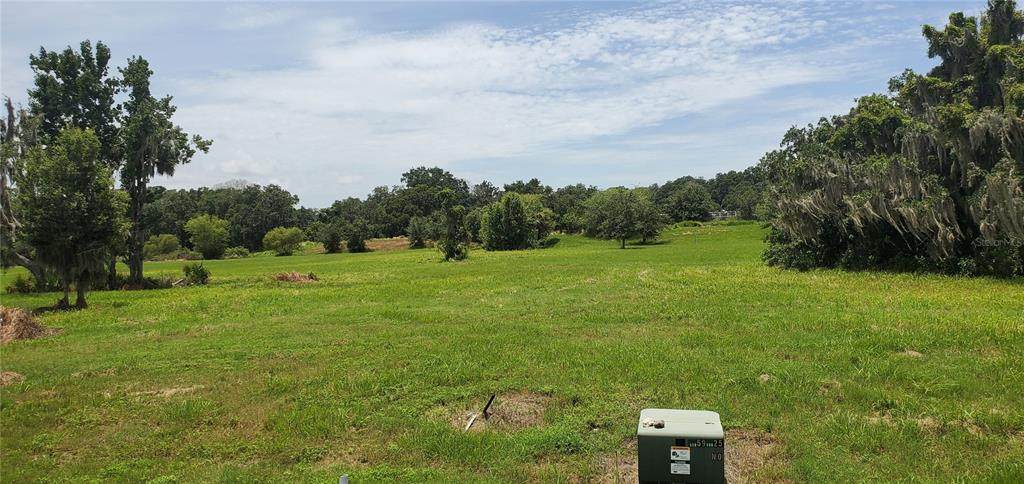 15323 Fishhawk Heights Run - Photo 1