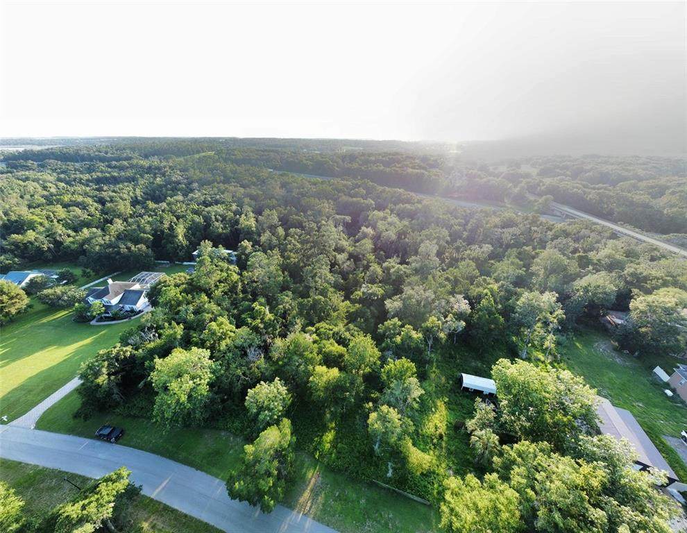 LOT 19 Savannah Oaks Drive - Photo 1