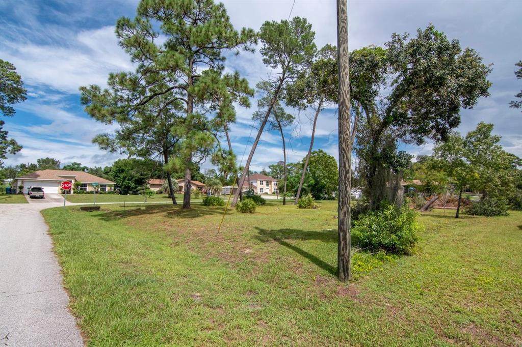 12420 Talpa Street - Photo 1