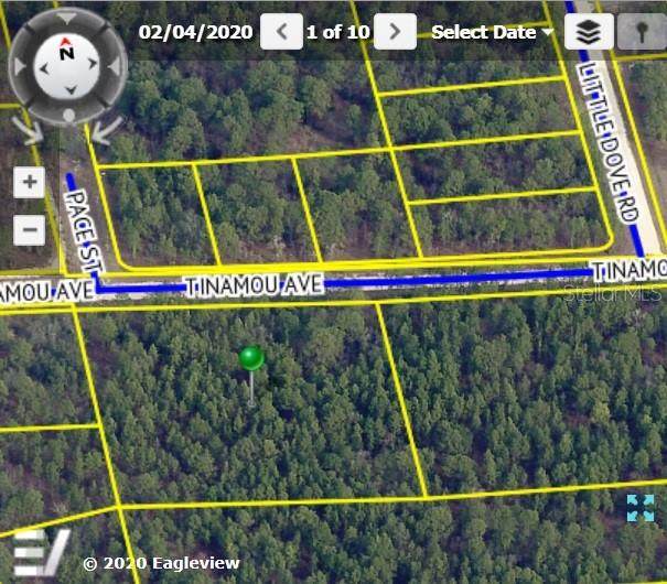 Tinamou Avenue - Photo 1