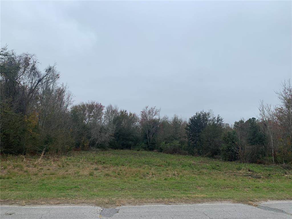 31760 Hedgerow Drive - Photo 1