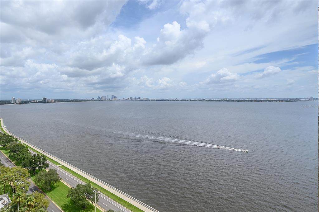 4201 Bayshore Boulevard - Photo 1