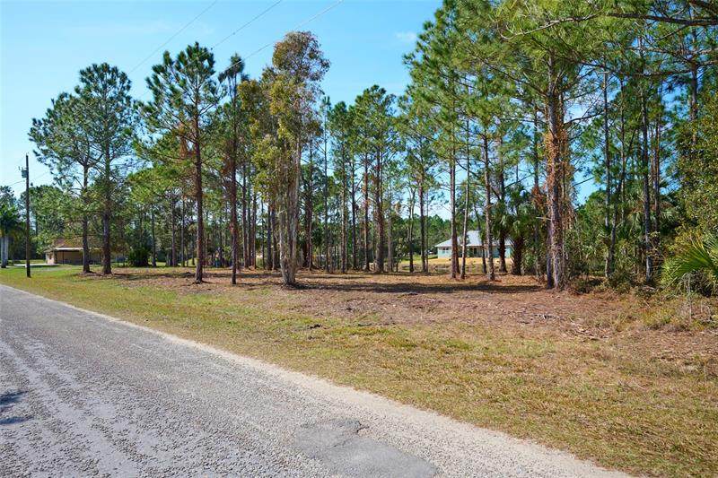 5 Lantana Drive - Photo 1
