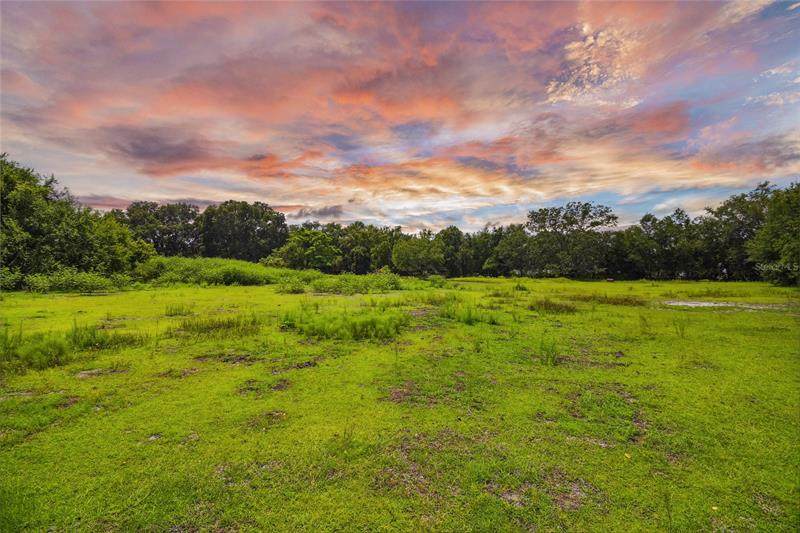 28538 Rice Road - Photo 1