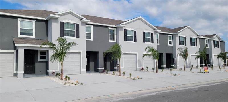 34281 Sorrel Mint Drive - Photo 1