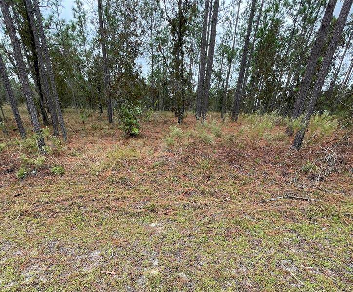133RD Avenue - Photo 1
