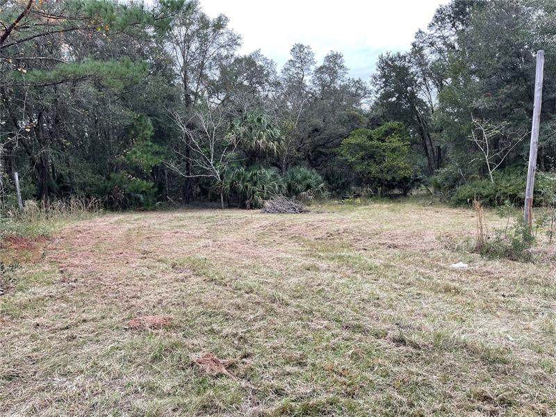23054 Highway 315 - Photo 1