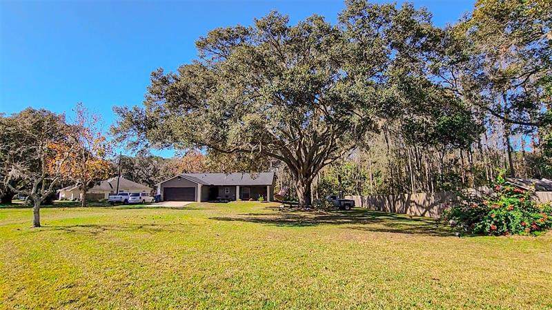 6821 Mary Lou Lane - Photo 1