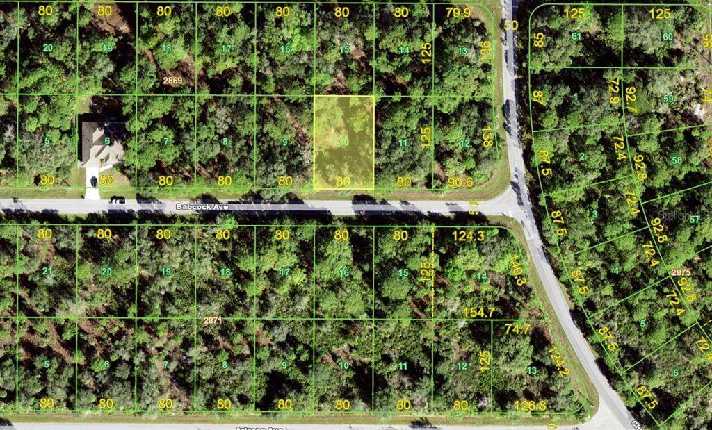 13212 Babcock Avenue - Photo 1