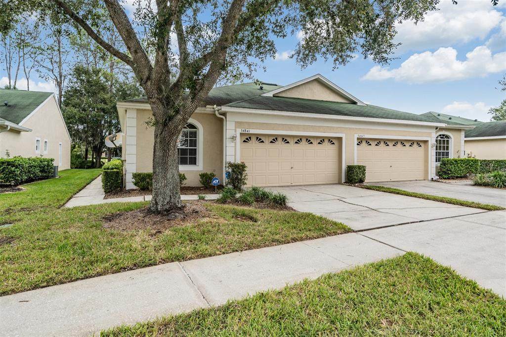 34841 Double Eagle Court - Photo 1