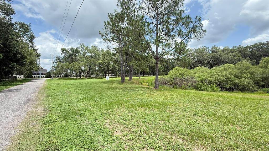 29956 New Dutch Lane - Photo 1