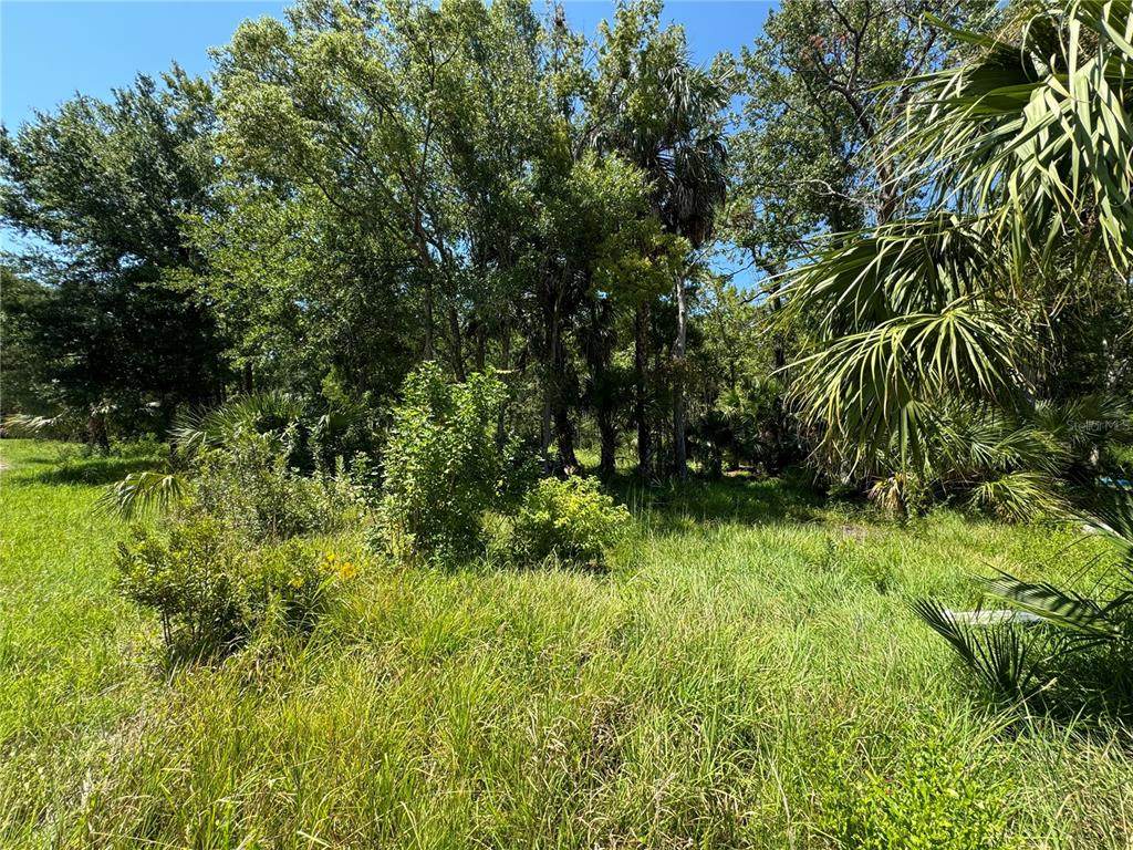 Lot 289 Cutlass Drive - Photo 1