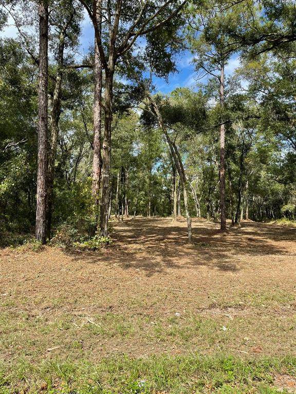 10634 Mataro Avenue - Photo 1