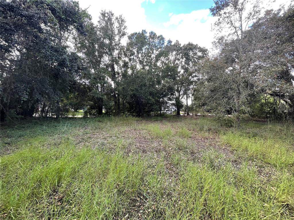 17380 Riverstone Drive - Photo 1