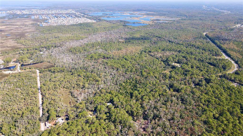 3241 Shine Lane - Photo 1