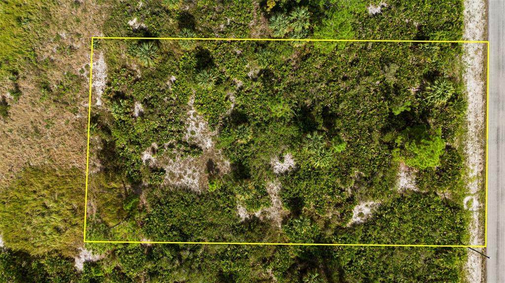 1217 Magnolia Avenue - Photo 1