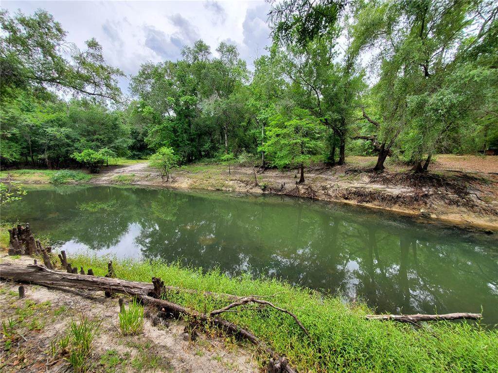 Ringwalt Drive - Photo 1