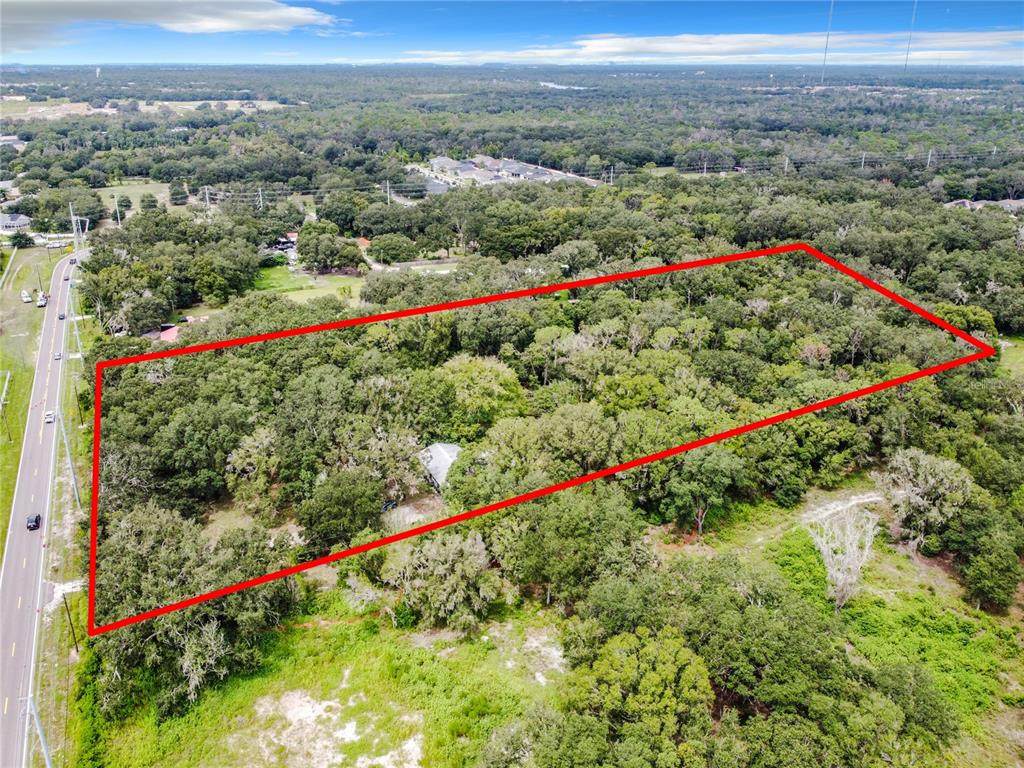 16206 Boyette Road - Photo 1