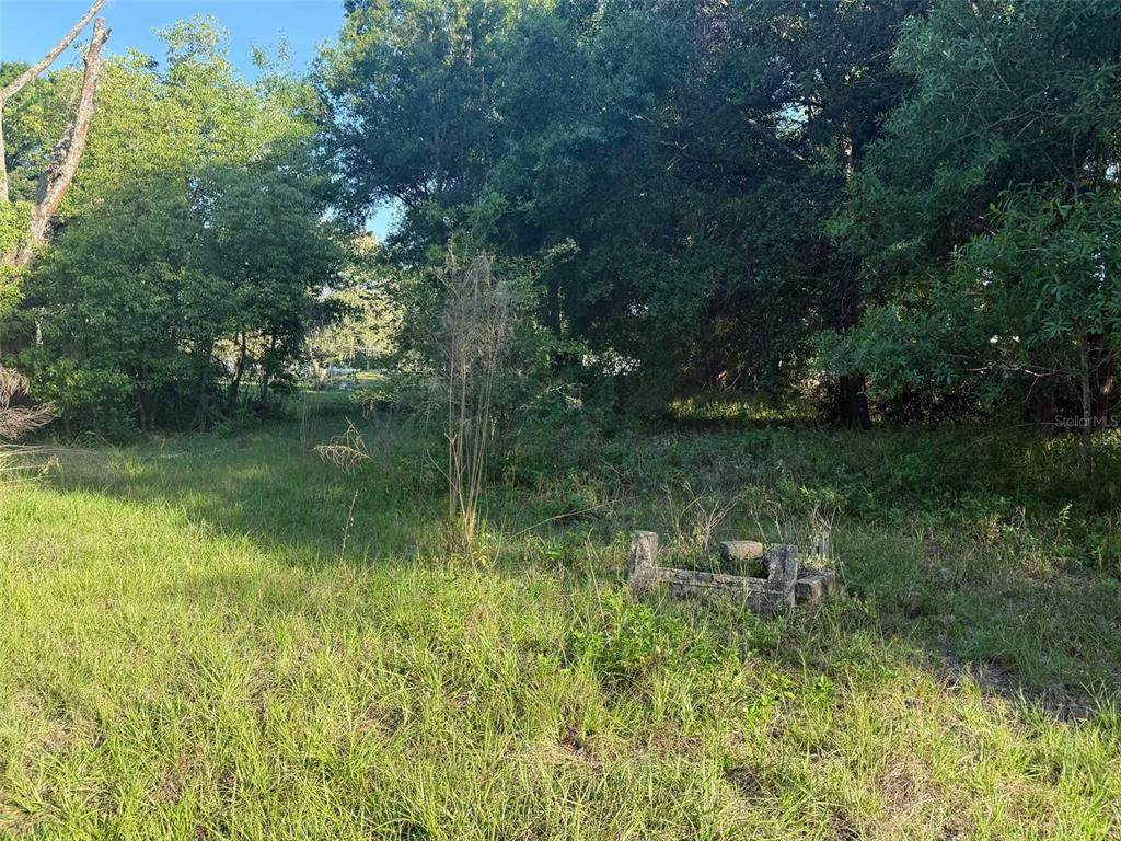 7106 Sky Drive - Photo 1
