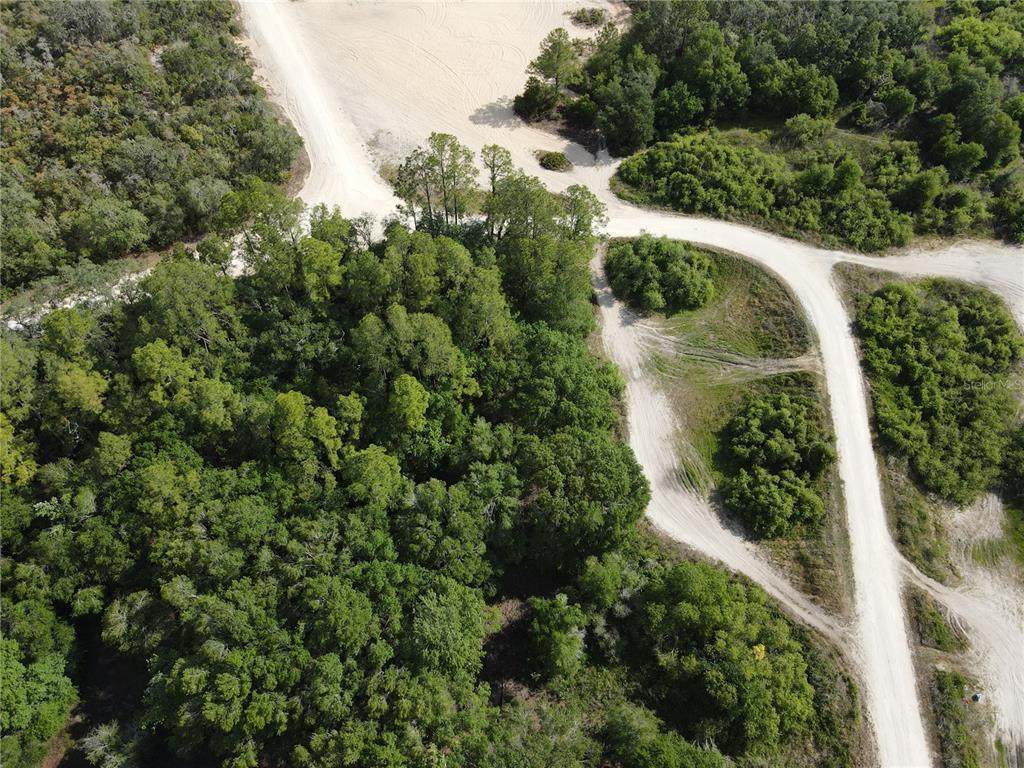 Coral Rock Drive - Photo 1