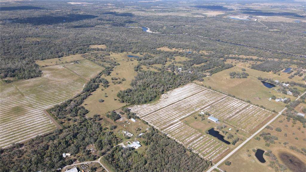 5009 Oakwood Avenue - Photo 1