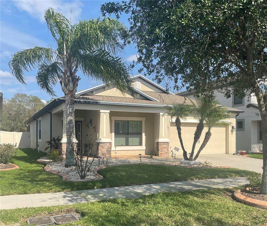11648 Palmetto Pine Street - Photo 1