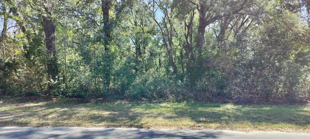 517 Savary Avenue - Photo 1