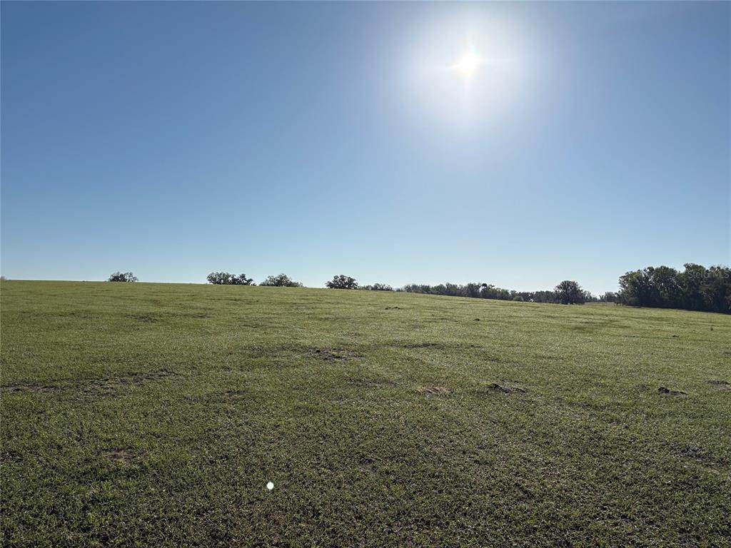 0 CITRUS WAY - Photo 1