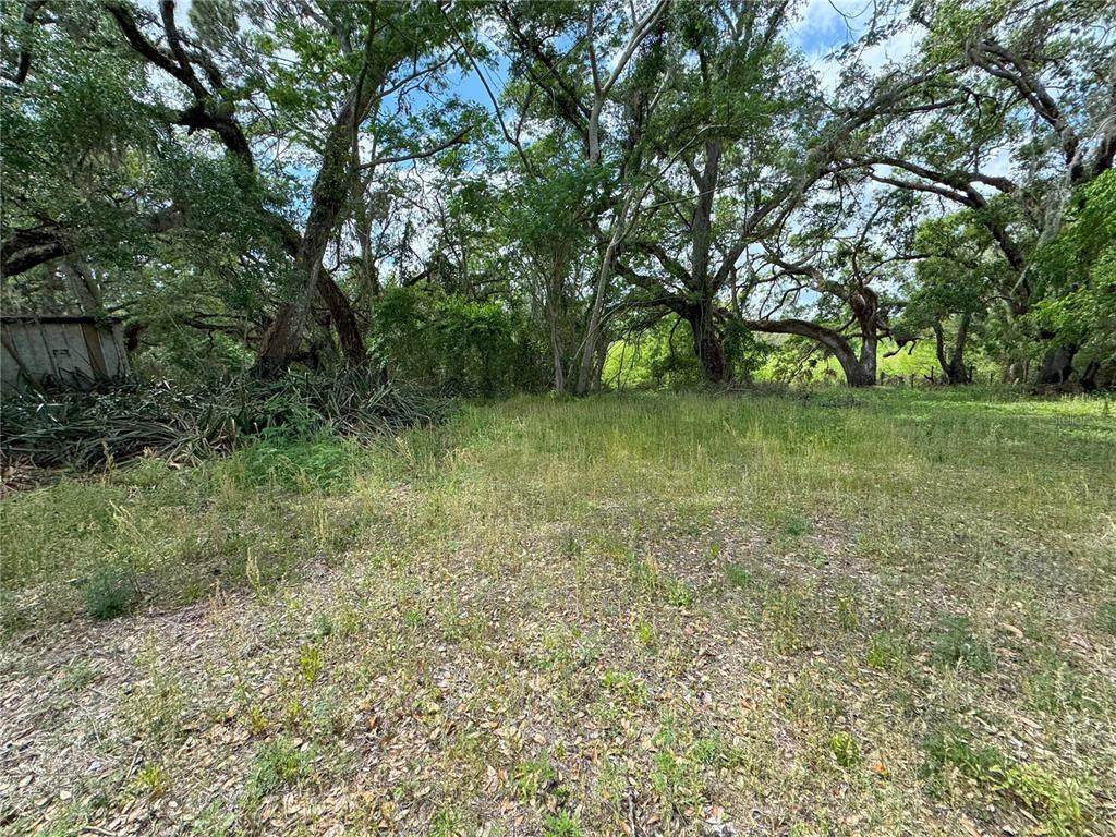 3221 Dublin Road - Photo 1