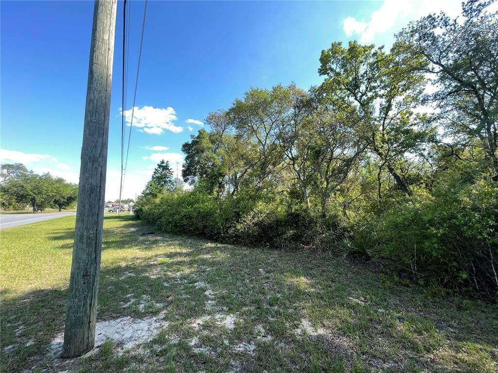 Lot #02 Marion Oaks Manor - Photo 1