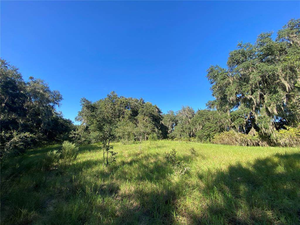 8701 Fruition Avenue - Photo 1